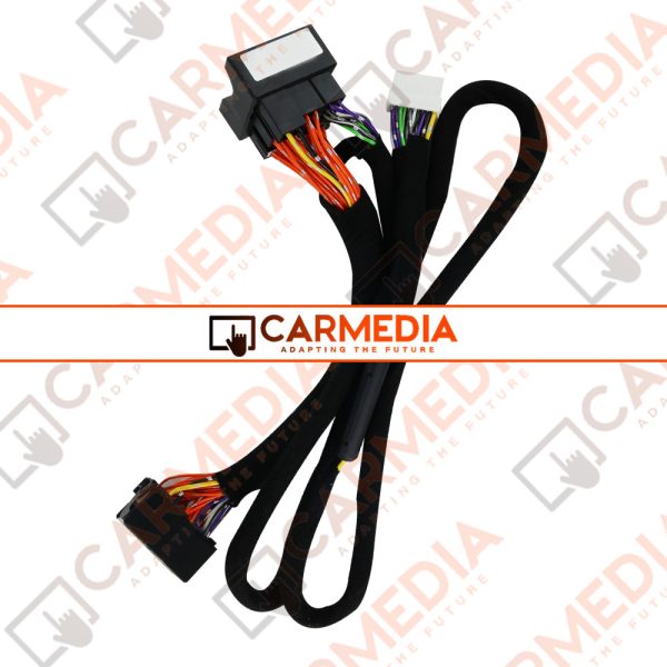 CARMEDIA Cable 25 VW - AUDI