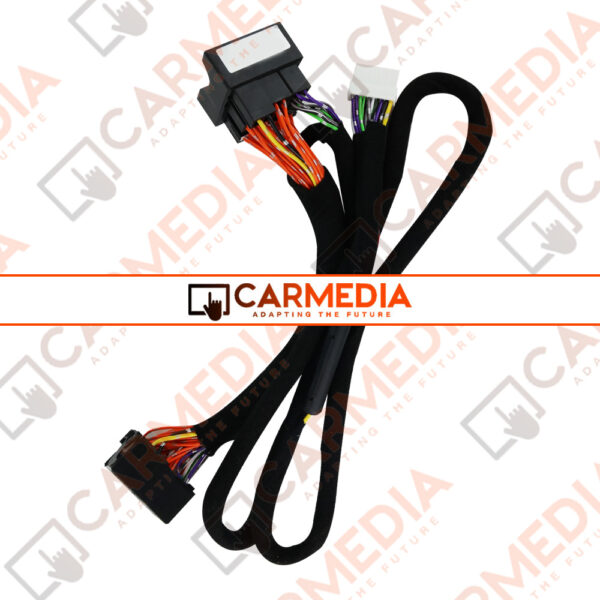 CARMEDIA Cable 25 VW - AUDI